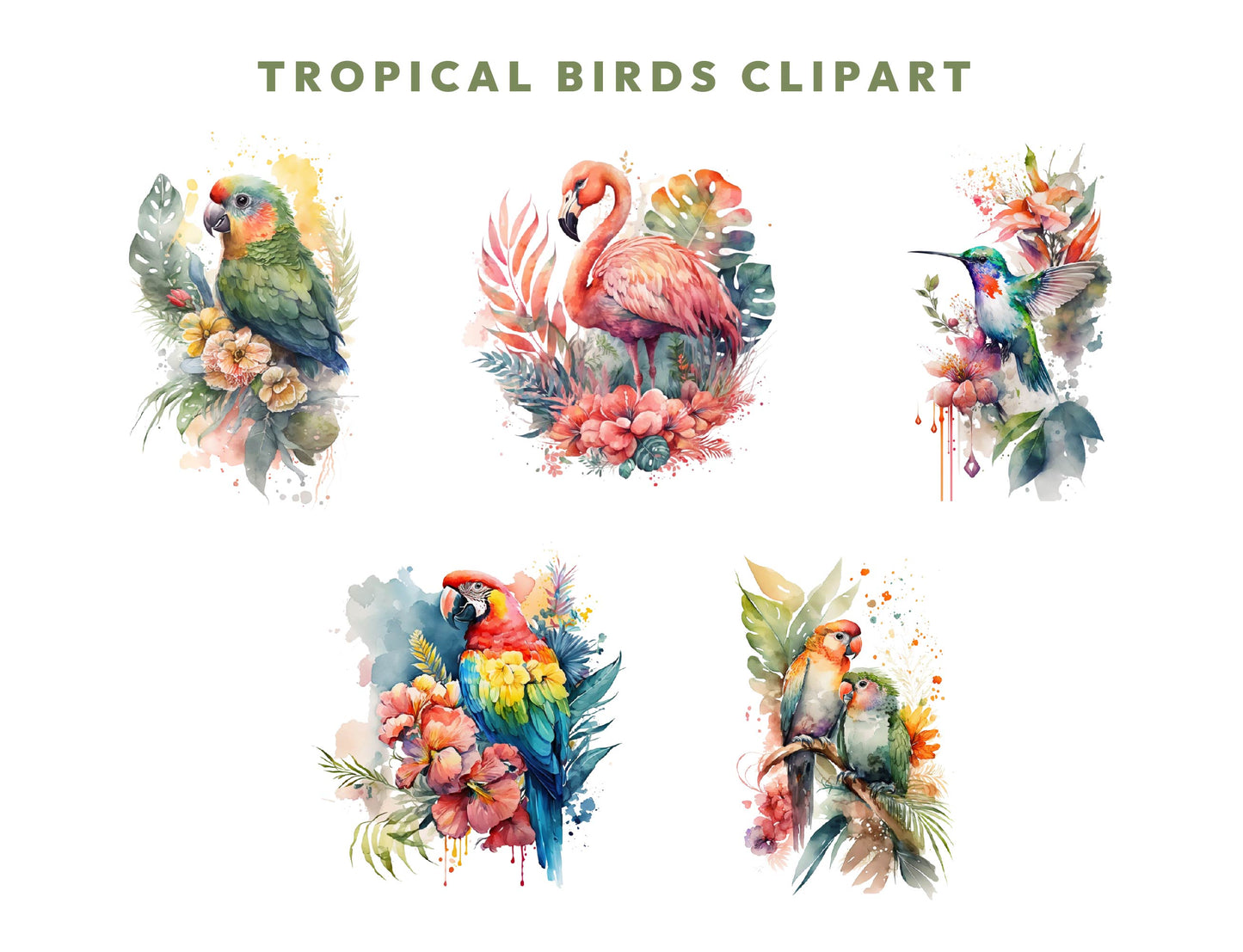 11 Tropical Birds Clipart Bundle, Watercolor Parrots Clipart, Flamingo PNG, Summer Exotic Birds Image, Transparent PNG, Sublimation Design