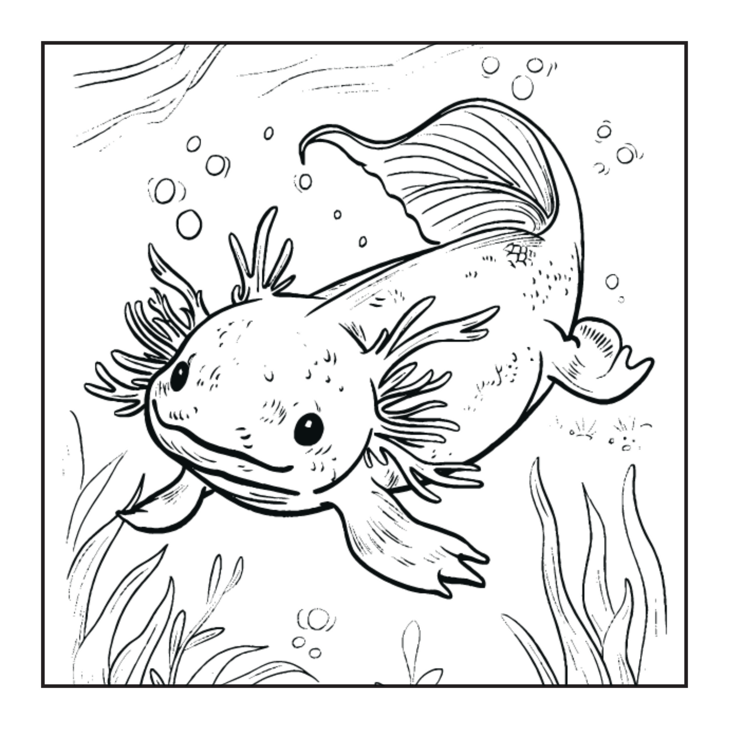 Axolotl Adventures | Underwater Journeys with Friendly Creatures | Coloring Book