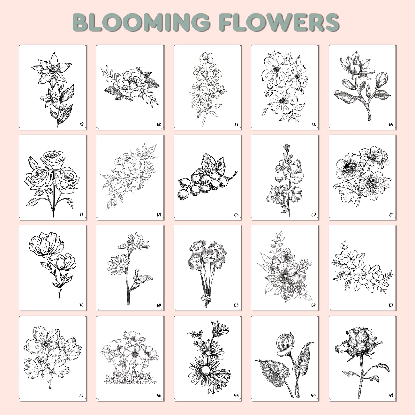 Blooming Flowers Coloring Book for Adults & Kids β Relaxing Floral Designs