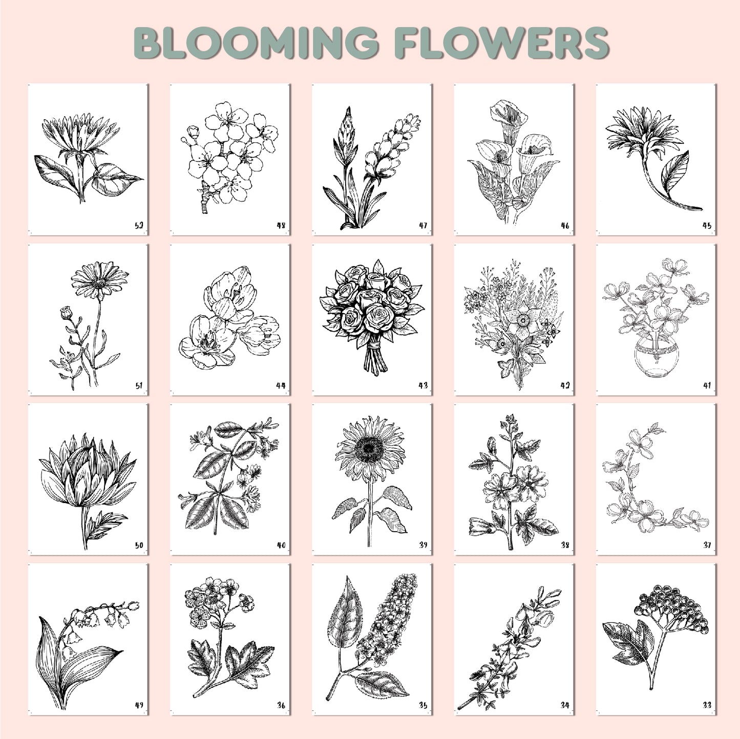 Blooming Flowers Coloring Book for Adults & Kids β Relaxing Floral Designs