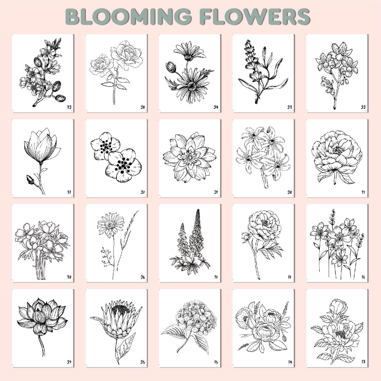 Blooming Flowers Coloring Book for Adults & Kids β Relaxing Floral Designs
