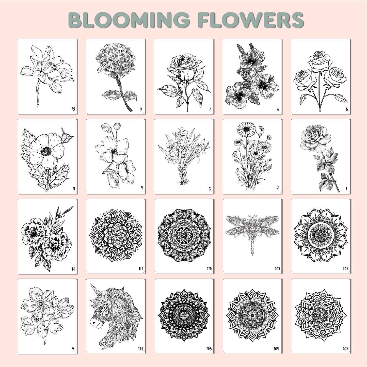 Blooming Flowers Coloring Book for Adults & Kids β Relaxing Floral Designs