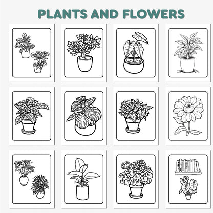 Plants & Flowers Coloring Book for Adults & Kids - Relaxing Floral Designs